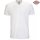 Dickies V-Neck T-Shirt white 3XL