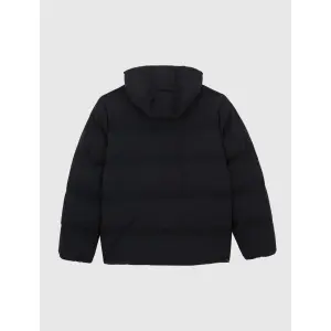 DICKIES Eagleville Hooded Puffer black