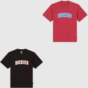 DICKIES Aitkin T-Shirt