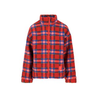 tartan teddy