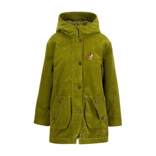 dense forest khaki