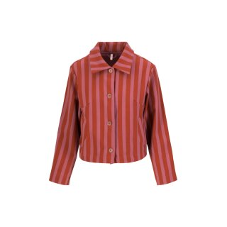 giddy up stripe